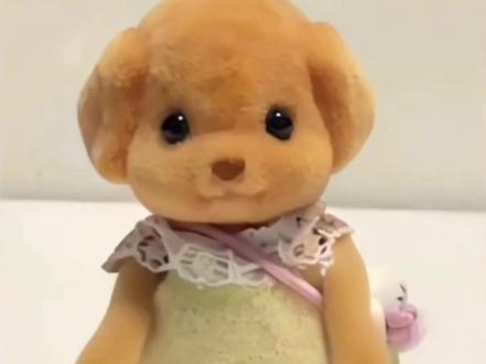 #阔爱炸了 #呆萌呆萌 #森贝儿 宝宝,你是一只可爱的跳舞小狗#毛绒公仔 #二年级舞蹈