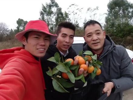 房车旅行第三天,我们来到了钟山百里水墨画廊,这里不仅风景秀丽、人很热情,水果还很甜#房车旅行 #贺州钟山