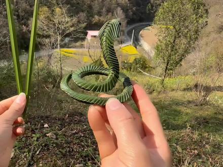 超实用的树叶编蛇教程 建议家里有小孩的收藏起来 编一条小蛇给小朋友玩吧#农村生活 #原创 #手工