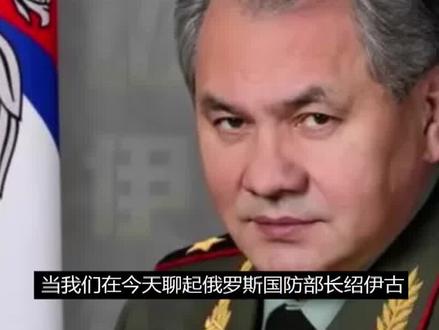 全集 打仗我不行,打灰你不行,胶合板大将绍伊古到底有多强?