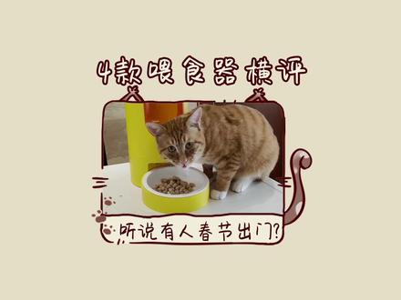 四款自动喂食器横向对比,派可为、霍曼、小米、小佩