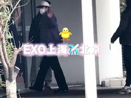 #exo 是不管天气多冷也要给粉丝打招呼的中国女婿#吴世勋 #朴灿烈 #exo上海签售 #送机