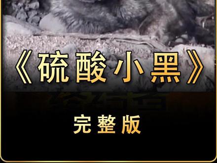 硫酸毁了小狗的脸,它的世界彻底黑了 #动物 #热点 #热点新闻事件 #保护动物