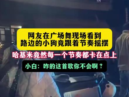 11月25日,江苏淮安,网友在广场舞现场看到,狗狗竟然跟着音乐的律动上下摆动!#狗子成精了 #哈基米也会跳广场舞 #狗子竟然能听懂音乐 #狗子的迷惑行为 #哈基米
