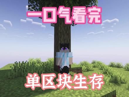 一口气看完打通单区块生存! #我的世界