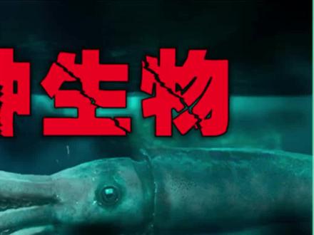 藏在海里的10种“巨型生物”,你以为蓝鲸就是最大的吗?