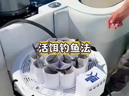 活儿饵钓鱼法