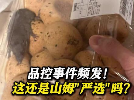 刚刚!#山姆 道歉!回应"麻薯盒内惊现活老鼠":系取货点周边虫害偶然侵入
