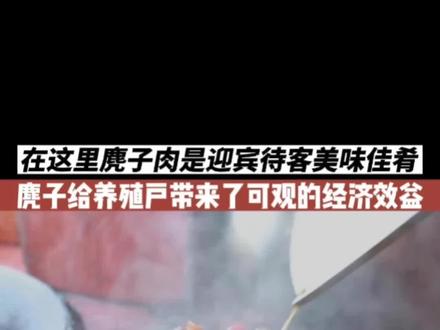 在这里麂子肉是迎宾待客的美味佳肴,麂子给养殖户带来了可观的经济效益。#养殖 #致富 #科普 #动物 #美食 @抖音小助手 @抖音创作者中心 @抖音热点