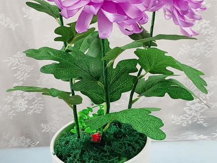 菊花教程来啦!喜欢的朋友可以点赞评论加收藏哦!#菊花 #丝带花 @抖音小助手