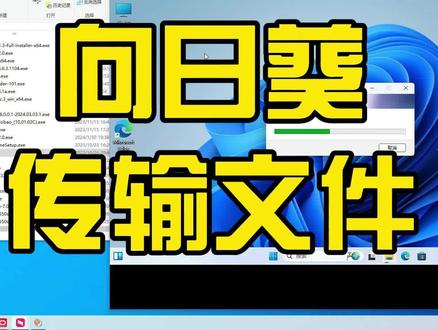 怎么用向日葵远程传输文件给另一台电脑? #电脑知识 #向日葵 #传输文件 #老郎修电脑
