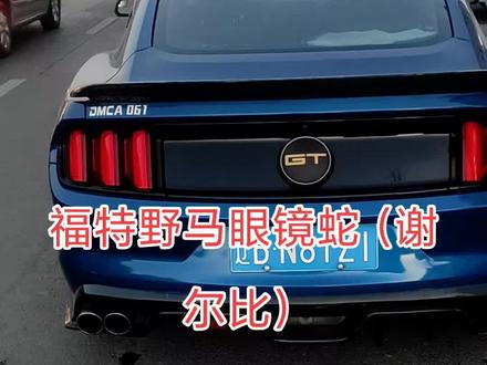 这个是谢尔比吗?还是野马换标?