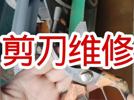 枝剪崩口了怎么办?#枝剪修复研磨 #回流剪刀修复