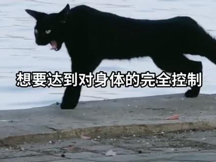开龙脊教学在功夫者#热门 #功夫