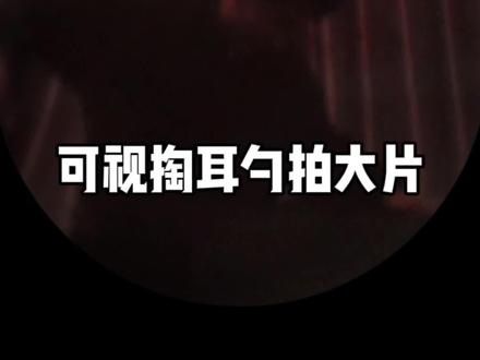 可视化掏耳勺拍大片 #老崔数码 #拍机堂淘机 #可视化掏耳勺