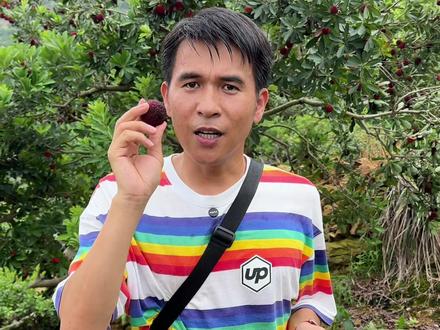 在这个人心惶惶的时刻,教你怎么去辨别问题杨梅!#漳州杨梅 #农村自家果园采摘
