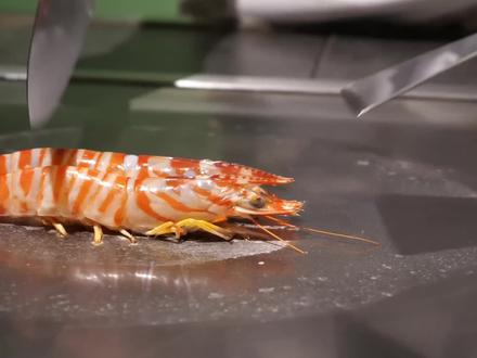 《月光变心》 #小说 #小说推荐 #小说热门 #书荒推荐