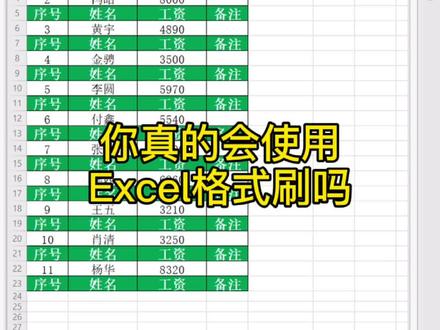 #excel小技巧 @DOU+小助手 @抖音小助手 Excel格式刷的正确使用方法
