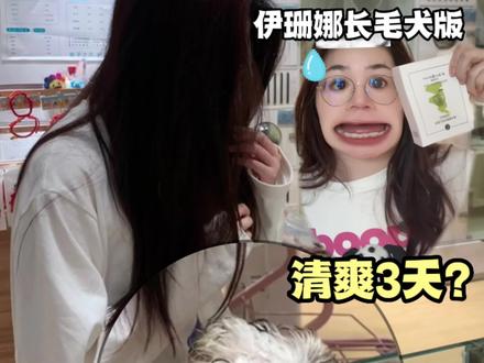 最近流行用宠物沐浴露给人洗头?我也来试试,用的是伊珊娜青苹果味h h h h 灵感来源于@我的狗子叫发财 #宠物沐浴露 #油头洗发水 #约克夏 #萌宠日常记录 #动物的迷惑行为