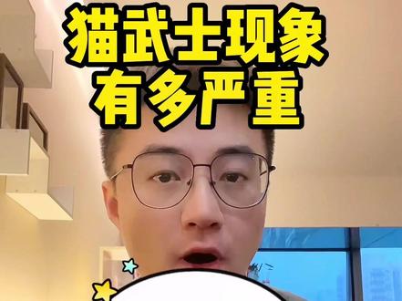 你家孩子猫武士现象严不严重?#猫武士 #亲子共读 #课外阅读 #热门畅销图书推荐