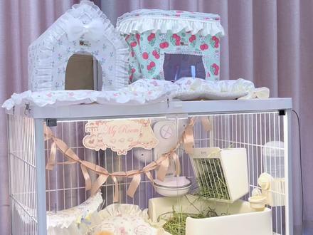 兔笼软装分享#新手养兔 #侏儒兔 #好物分享