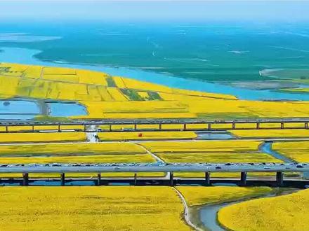 阜阳理工学校等待追光的你