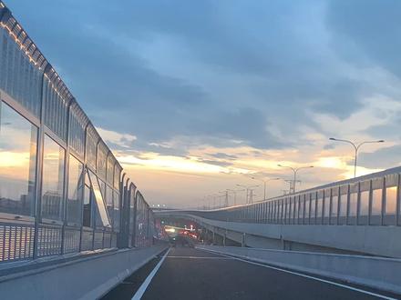 期待已久的疏港公路高架终于快要通车了✌🏻️