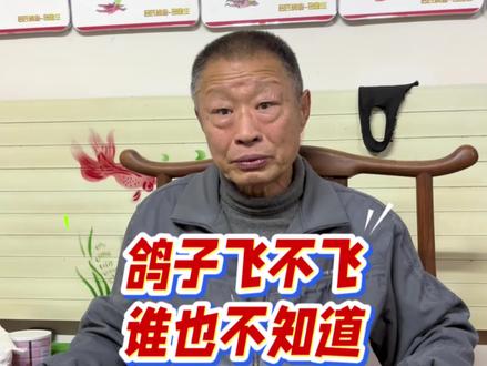 鸽子飞不飞,谁也不知道,只有花Q去试,8羽小鸽子打精英32W,大爷还是你大爷! #赛鸽信鸽 #信鸽 #赛鸽比赛 #信鸽爱好者