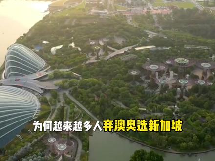 为什么越来越多的人放弃澳门来新加坡金沙呢?#新加坡#新加坡金沙酒店 #红蓝战士#澳门#妈阁