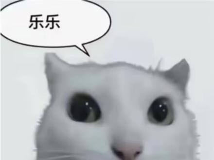 #乐乐 #梗 #梗图 #梗百科
乐乐是什么梗?