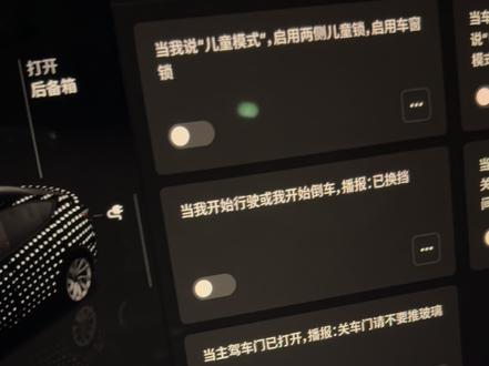 非常好用 每位特斯拉车主必须设置起来#特斯拉 #OTA #特斯拉自动化