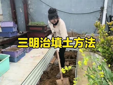 养好土种好菜,楼顶的土壤改善完成✅#楼顶花园 #种菜 #三农种植 #家庭种植