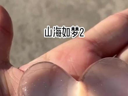 📖:《山海如梦》许泽许桃许娇后续