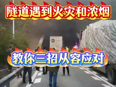 隧道逃生安全讲解 #每天一个用车知识 #逃生 #安全出行