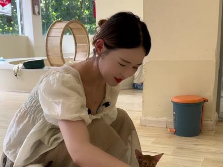 #撸猫撸猫 #爱宠萌宠 宋先生的撸猫馆 还可以免费领养小猫咪呢……