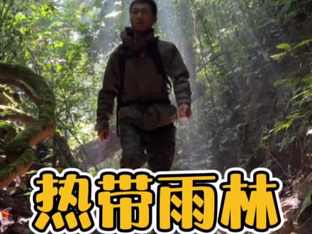 挑战雨林第十一集 在雨林过上游牧民族生活,深入雨林探索,利用窖炉烧制陶罐。#荒野生存 #户外