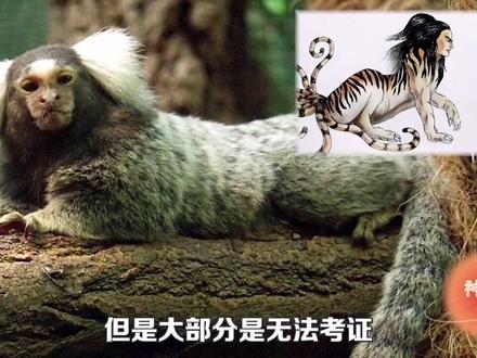 山海经是真的嘛?#科普 #寻找1000位科普达人 #铭记历史 #精彩片段 #中华文化