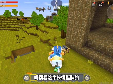 迷你世界:表哥送给表弟一个激活码,直接解锁新坐骑,速度非常快