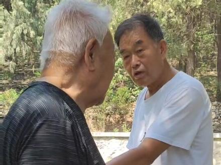 刘成德先生推手讲解#高手在民间