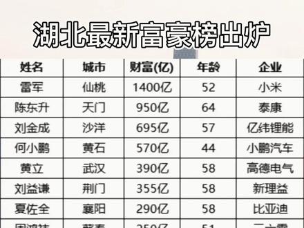 湖北省各地最新富豪榜出炉!#湖北 #排行榜 #大数据推荐给有需要的人