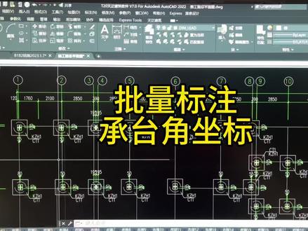 天正建筑批量标注承台角坐标#批量标注坐标 #cad教程 #工程人 #施工员 #天正建筑
