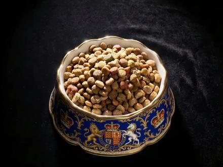 狗狗挑食的底层逻辑:这可能不是它在作,而是我们的偏见。 狗狗不吃饭,除了“不吃就饿着”,还有更科学的解决办法吗? 我查阅了大量文献发现,很多所谓的“坏毛病”,其实是刻在它们基因里的本能。
本期视频带你拆解挑食背后的秘密: 1️⃣ 给点耐性:对新食物的恐惧脱敏需要9天左右 2️⃣ 守住节律:定时定点定量喂食。 3️⃣ 科学加餐:脂肪和质地如何影响适口性? 4️⃣ 避坑指南:干粮储存不当,也是挑食的诱因。
视频最后总结了《快速应对指南》,建议收藏反复观看。我也为大家准备了免费的针对性食谱,希望每个小家伙都能找回“干饭”的快乐。
#宠物科普 #狗狗挑食 #科学养宠 #养狗经验分享 #Seven爸的宠物笔记