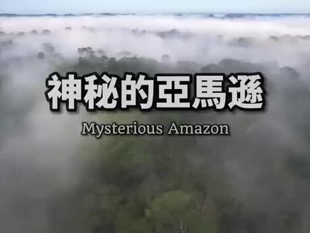 走进亚马孙盘地,地球上最神秘的地方#神奇动物在抖音