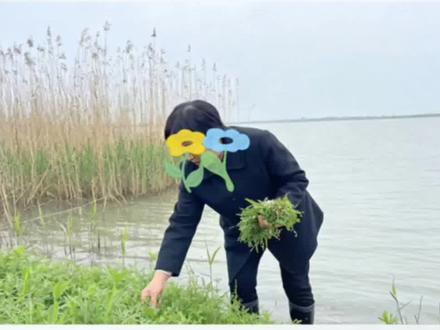 3月23日,多名网友反映,22日早上,一女子在岳阳县洞庭湖东岸太平咀附近采摘野菜时失联。3月24日,女子家属说目前人还在找。采藜蒿卖钱补贴家用。当天同伴不在,她独自去采摘时失联。当地居民介绍,藜蒿是洞庭湖区的广泛分布的野菜,可做成特色菜品。其采摘期集中在农历正月和二月。藜蒿价格每年不同,今年一斤是几元,往年高时有二十多元。相关报道显示,近年来,因采藜蒿被困的事件时有发生。当地消防提醒,请市民朋友不要擅自前往湖泊、河道、水渠、水库等地采摘野菜,以免发生意外。如果遇到险情,请及时拨打119求助。独自蹚过水沟摘野菜,目前还在搜救
