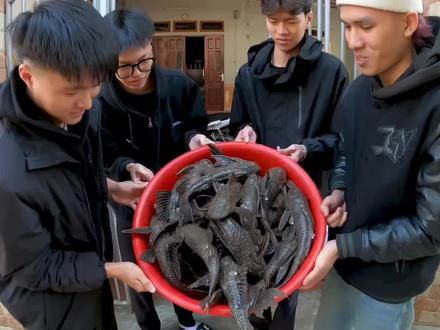 见识一下,越南人吃《清道夫》这吃法和这小表情感觉又要吃美了!#清道夫 #清道夫的吃法 #越南人吃清道夫 #白灼清道夫 #清道夫的宰杀技巧 #鱼的花样吃法 #外国美食 #清道夫美食 #越南美食 #东南亚美食