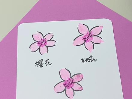 春天到花来报,如何区分这3种花,你学会了么?#一起学画画 #创意美术 #春天你好