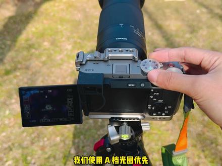 a7c2拍梅花——让花亮背景暗的摄影新手教学 #梅花 #摄影 #相机 #a7c2 #摄影教学