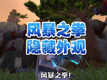 踏风武僧超帅隐藏外观!风暴之拳!#魔兽世界