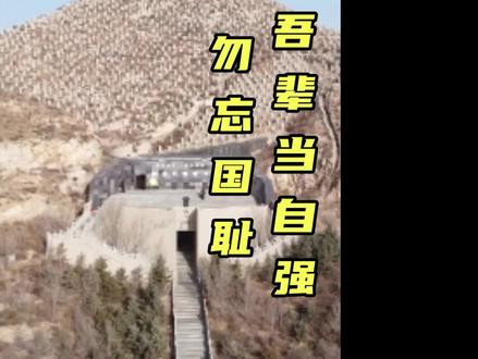 麻豆之地而已!#ive #张元英 #作死系列 #勿忘国耻 #万人坑