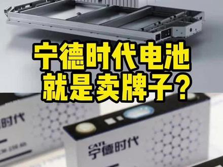 宁德时代和其他小厂有什么区别?就是卖个牌子么?#新能源电池